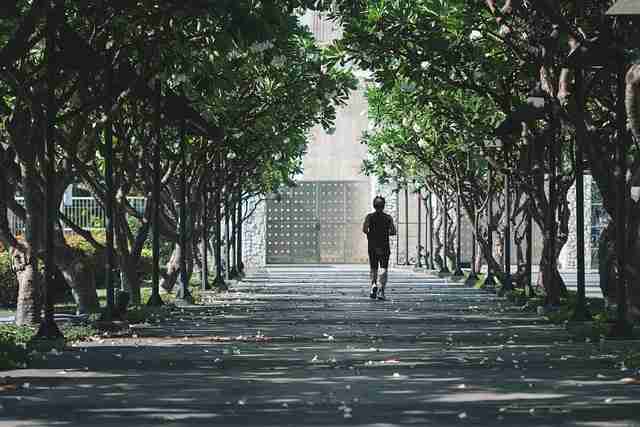 探花视频会员独享内容｜系列作品导览专区受热捧